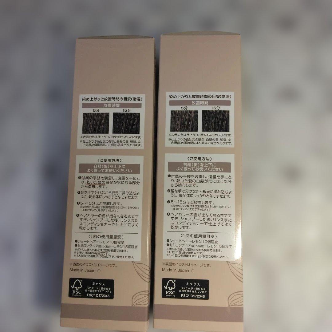 ヘアボーテ エクラ ボタニカルエアカラーフォーム ダークブラウン 2本