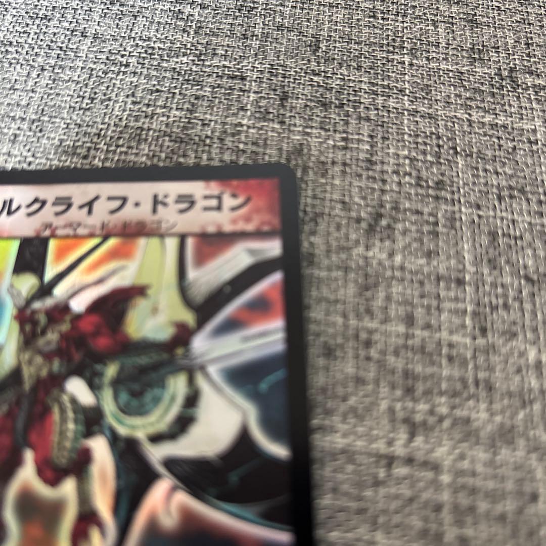 送料込み　ガルクライフ・ドラゴン