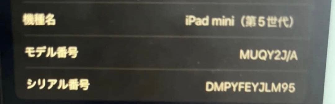 Apple iPad mini 第5世代 Wi-Fi 64GB ピンクゴールド