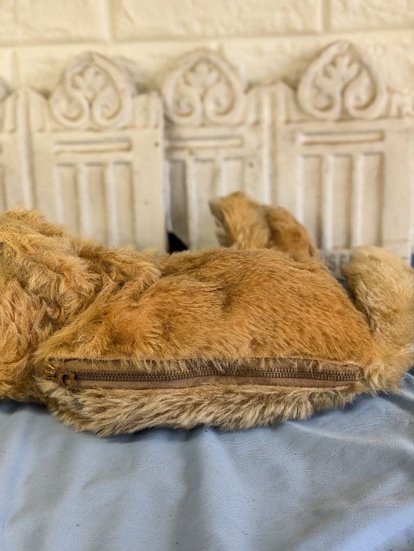 イギリス アンティーク 犬 ダックスフンド パジャマケース