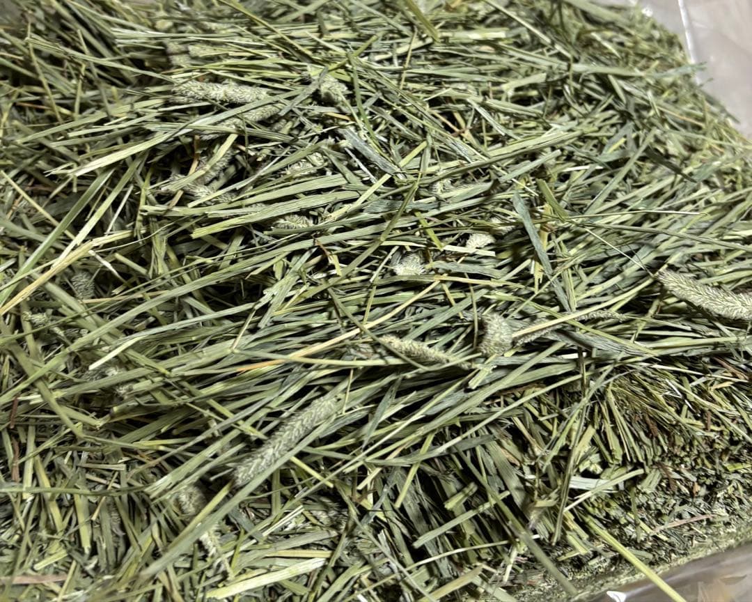 カナダ産チモシーオーロラヘイスーパープレミアム　10kg 圧縮　無選別