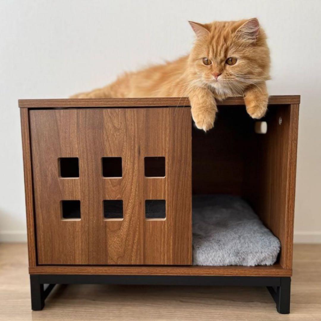 ieneko 猫パンチハウス White