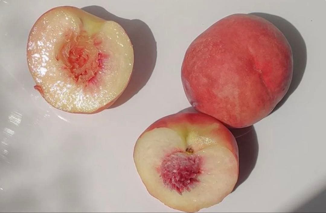 アロマブレンドバー ピーチシャンティ オードパルファン 10ml 桃 香水