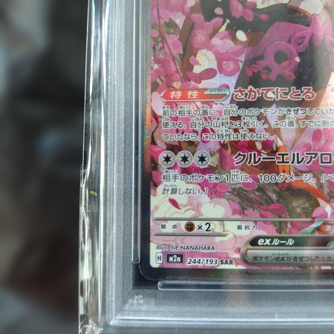 【PSA10】キチキギスex SAR [M2a 244/193]