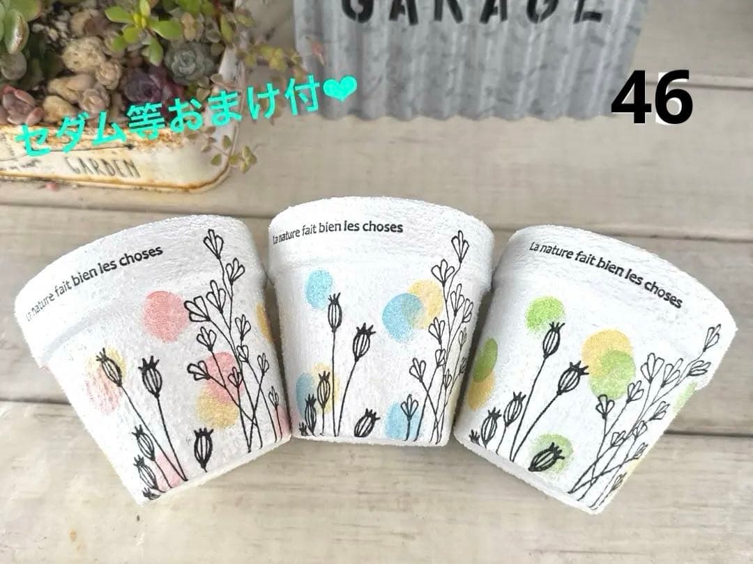 リメイク鉢46☆多肉植物☺︎︎寄せ植え☺︎︎インテリア