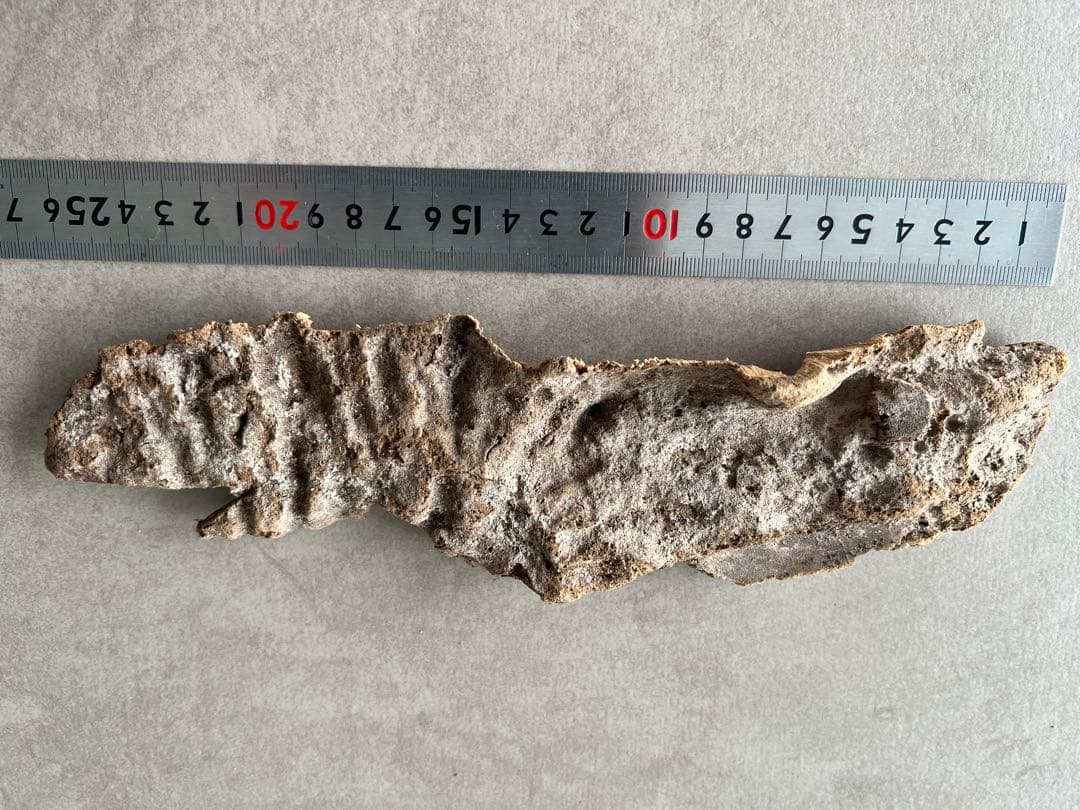 沈香 ベトナム産　お香素材 約20cm　41g