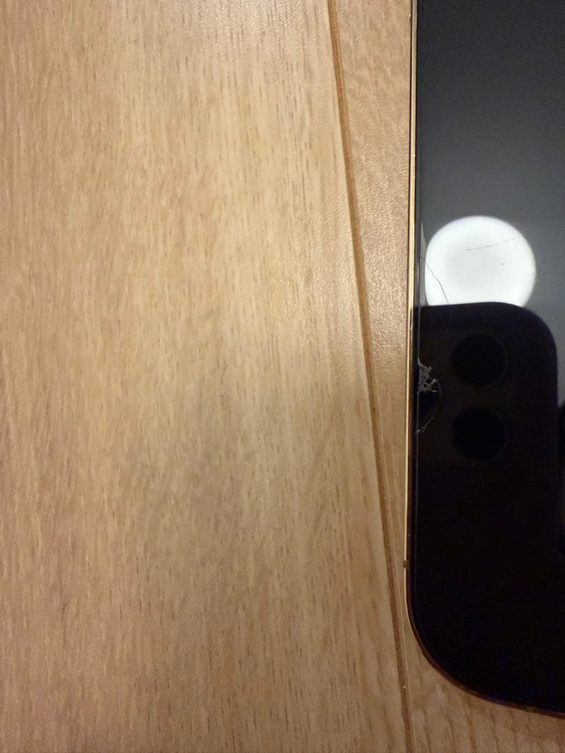 Apple iPhone 13 Pro Max ゴールド ケース付き