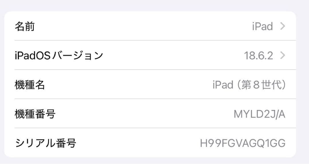 Apple iPad 本体 充電器付き　10.2 128GB Wi-Fi