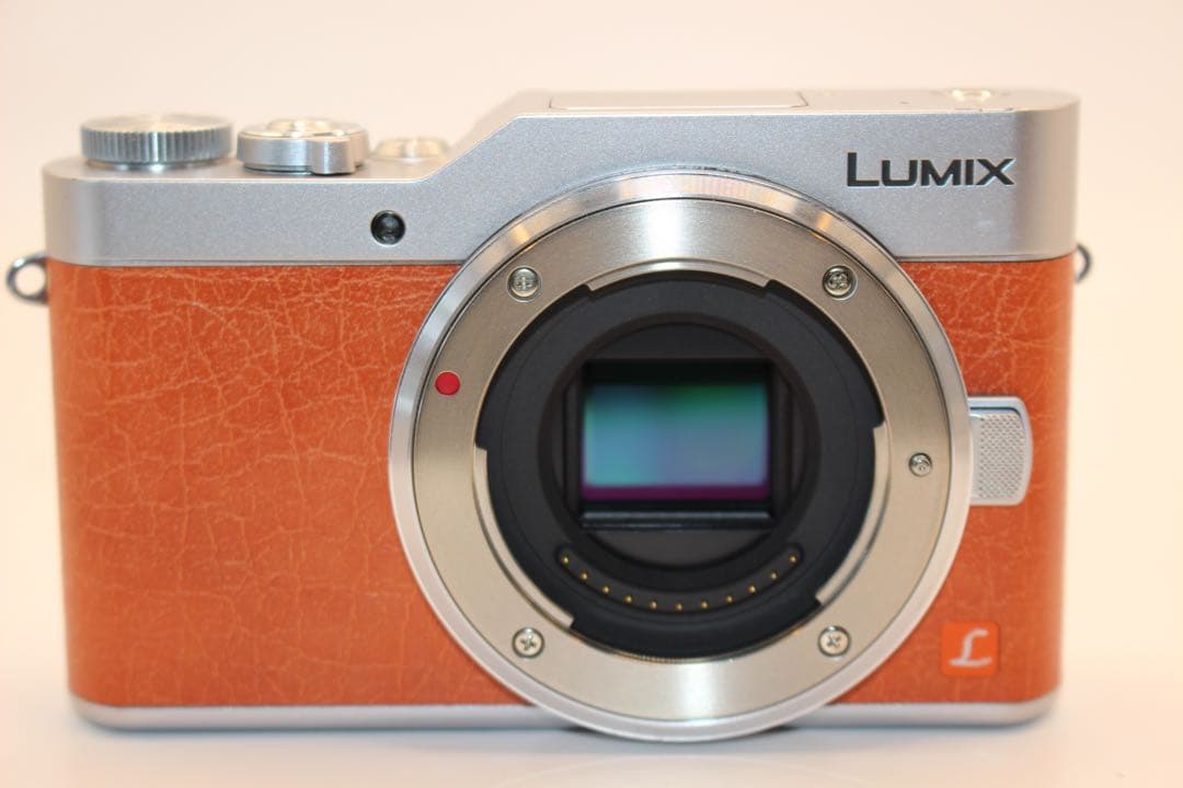 ★ショット数206回新品級★ LUMIX DC-GF9 レンズキット　Wi-Fi