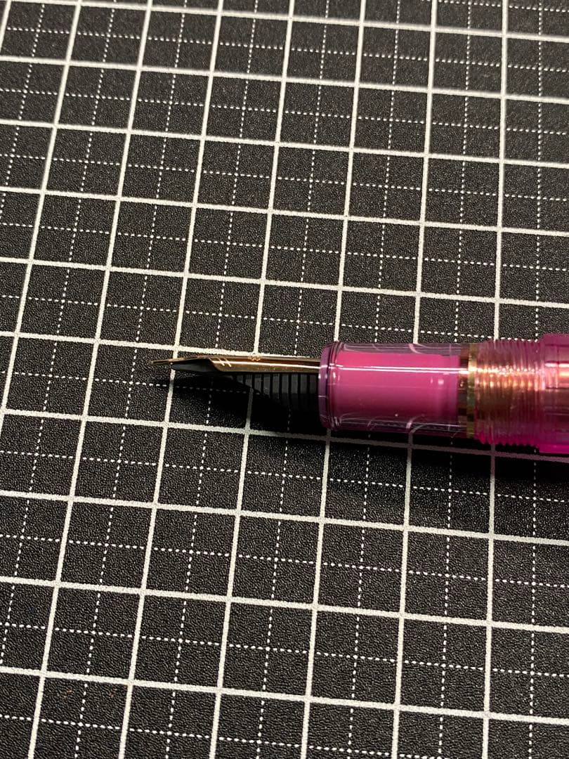 PLATINUM CENTURY NICE LILAS 万年筆　字幅F