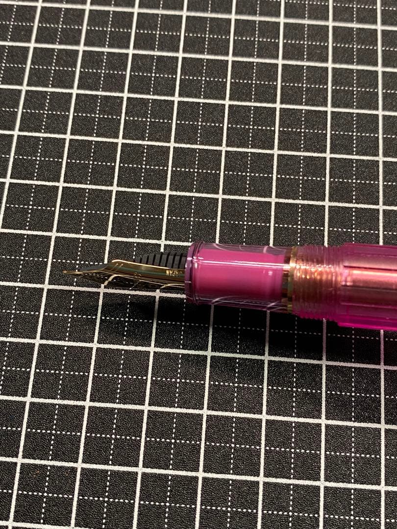 PLATINUM CENTURY NICE LILAS 万年筆　字幅F
