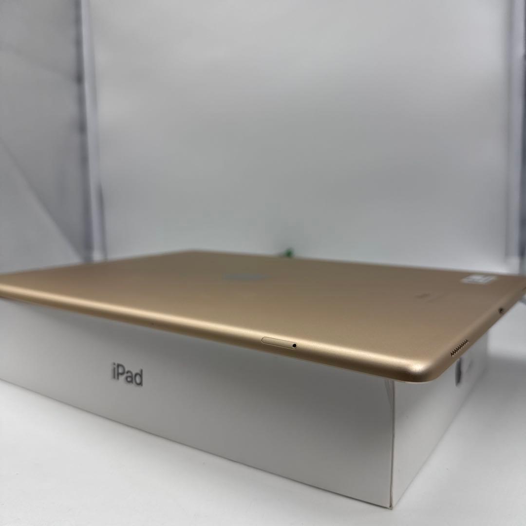 【本日発送】✨シーズー✨ iPad Pro 12.9インチ 第２世代