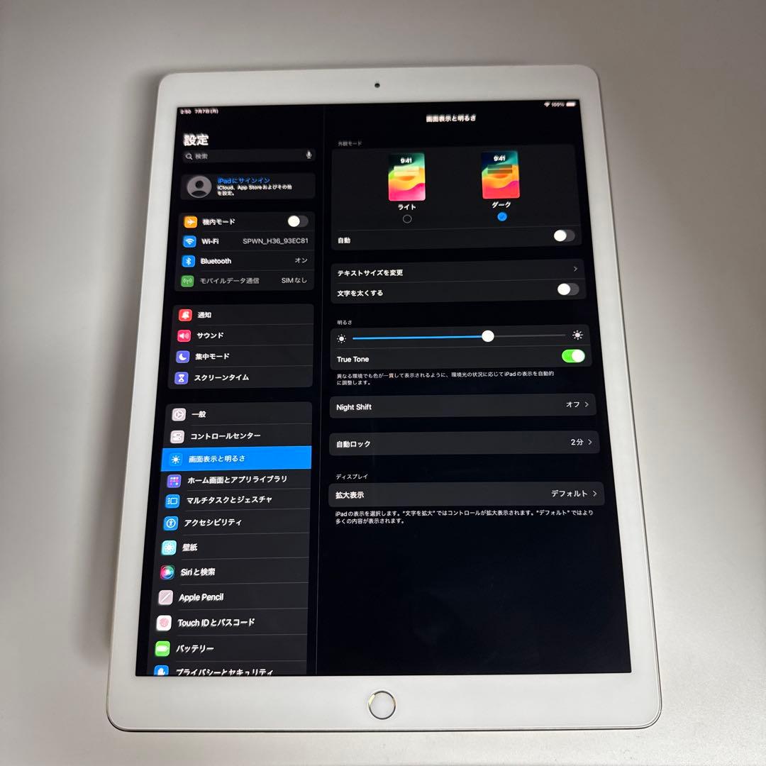 【本日発送】✨シーズー✨ iPad Pro 12.9インチ 第２世代