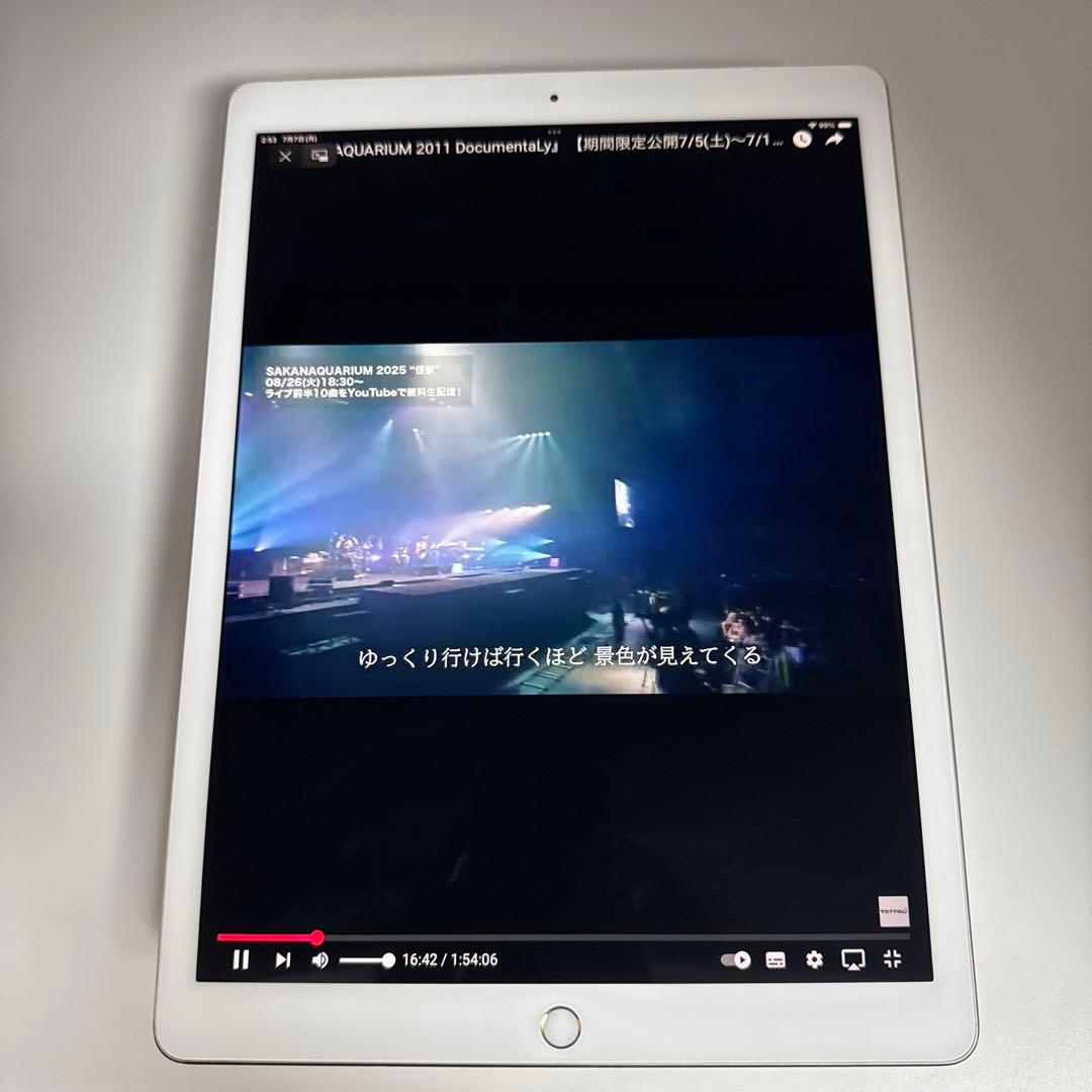 【本日発送】✨シーズー✨ iPad Pro 12.9インチ 第２世代