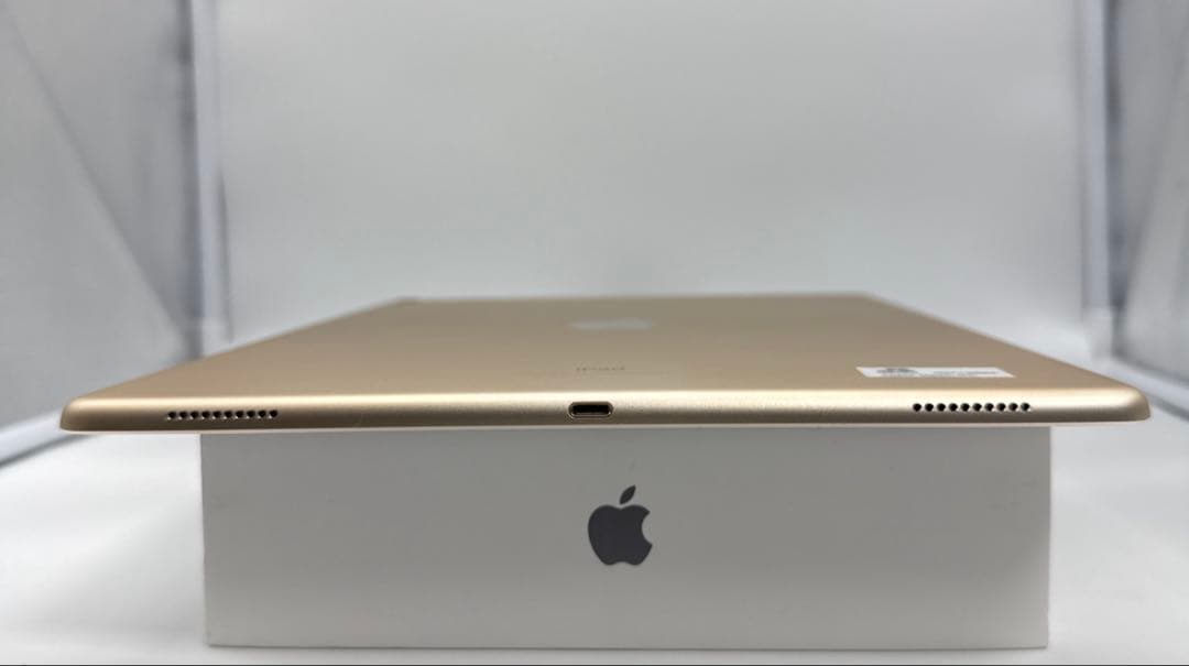 【本日発送】✨シーズー✨ iPad Pro 12.9インチ 第２世代