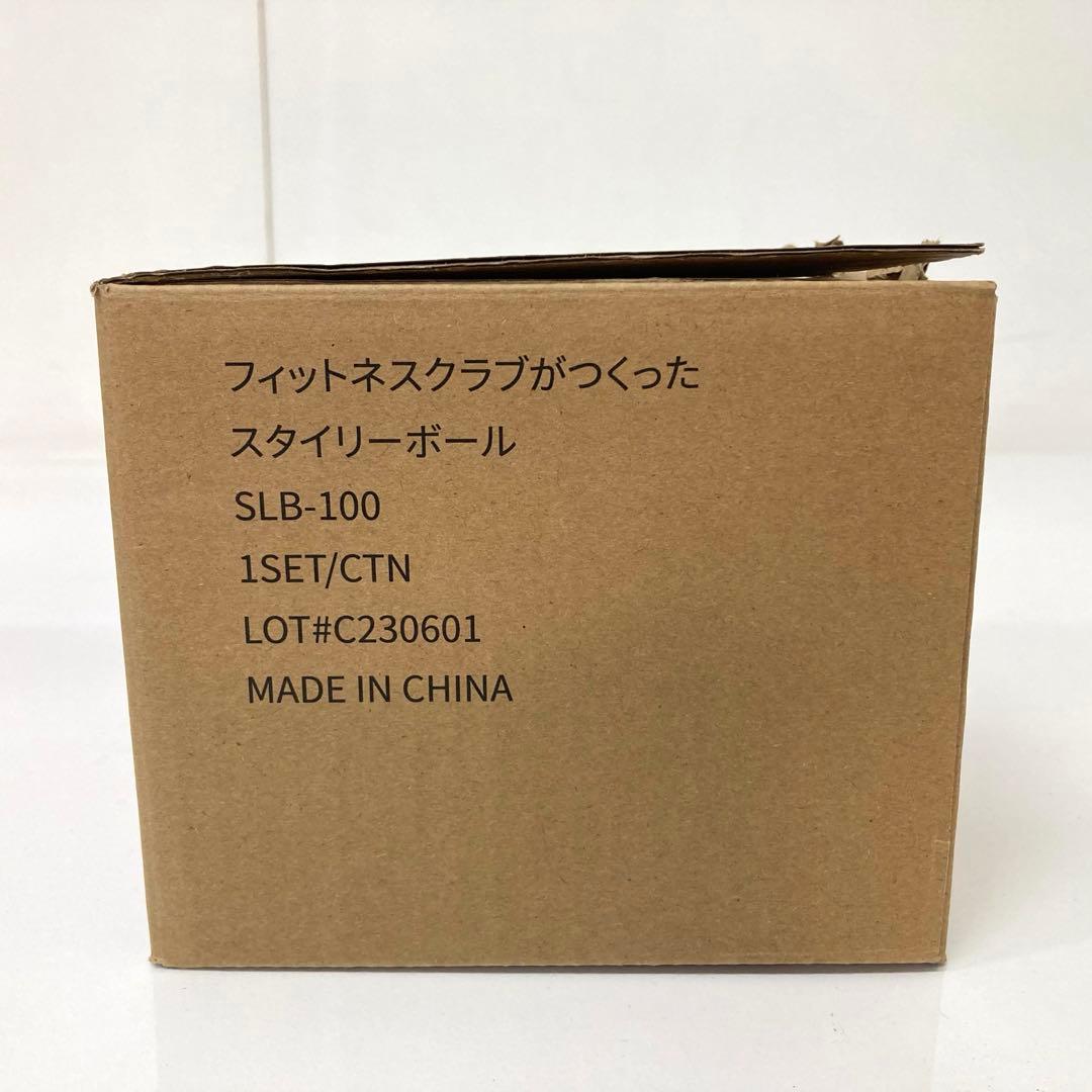 X21-19 東急スポーツオアシス スタイリーボール SLB-100
