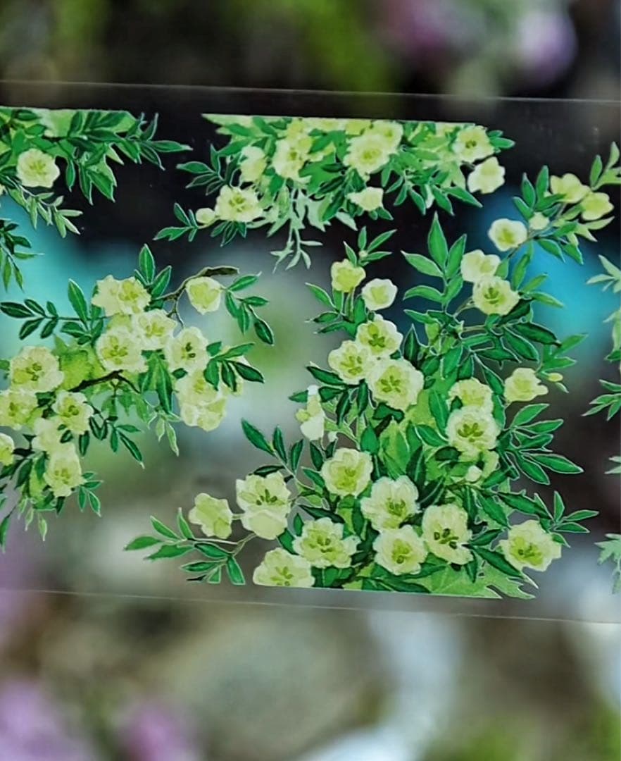 【9551】海外　マステ　5/巻　PETマスキングテープ　植物　お花　枝　装飾系