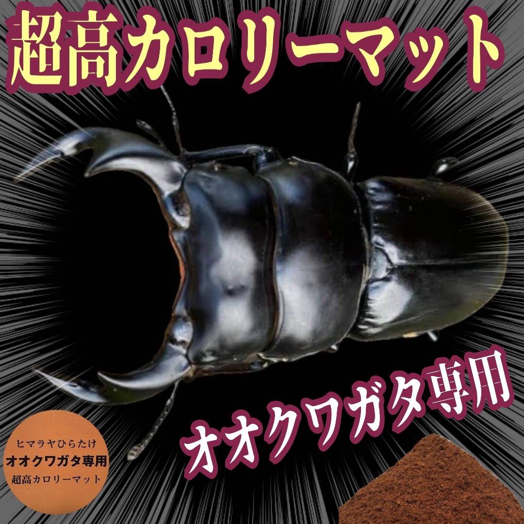 オオクワガタ専用　超高カロリーマット【50L】栄養添加剤3倍配合！生オガ特殊発酵