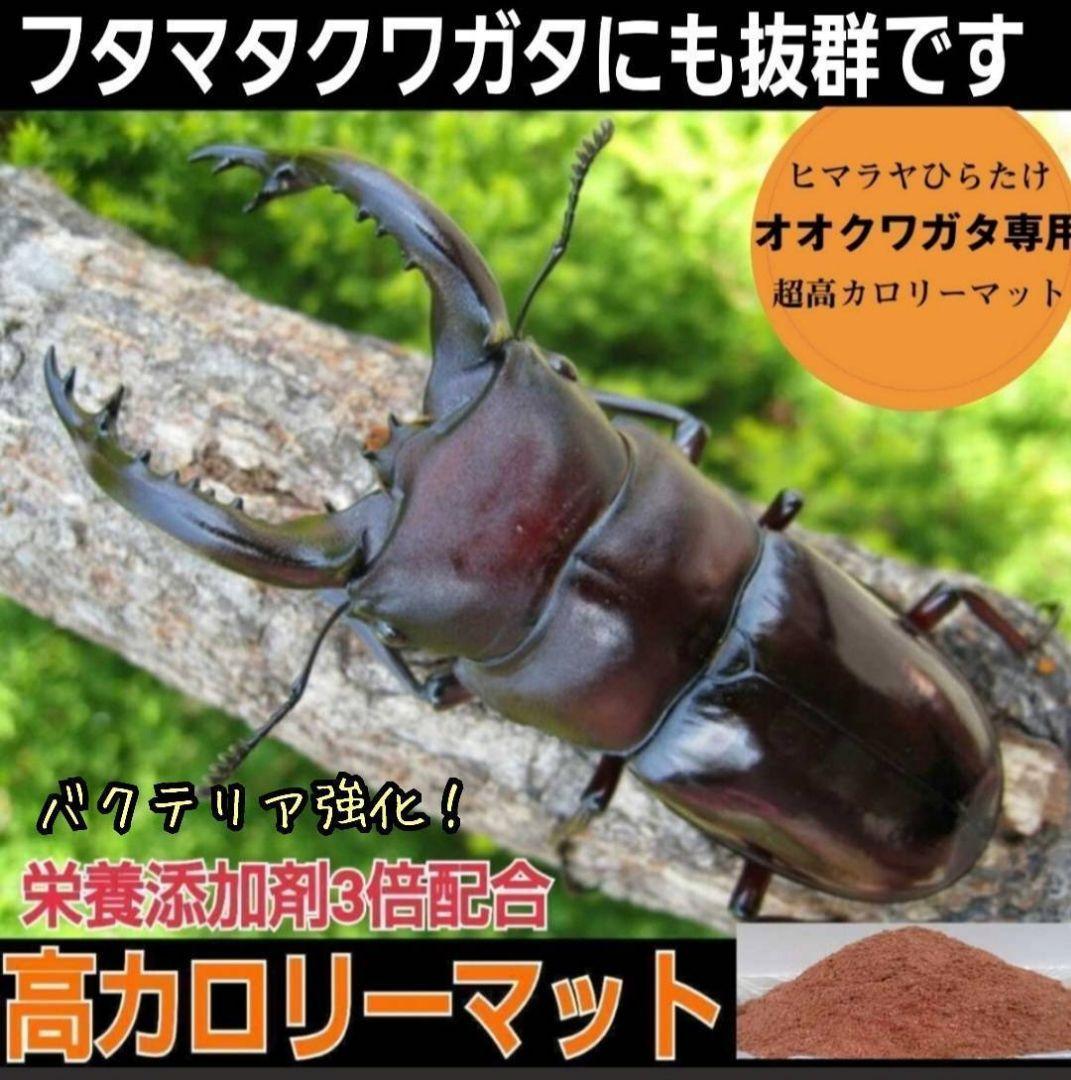 オオクワガタ専用　超高カロリーマット【50L】栄養添加剤3倍配合！生オガ特殊発酵