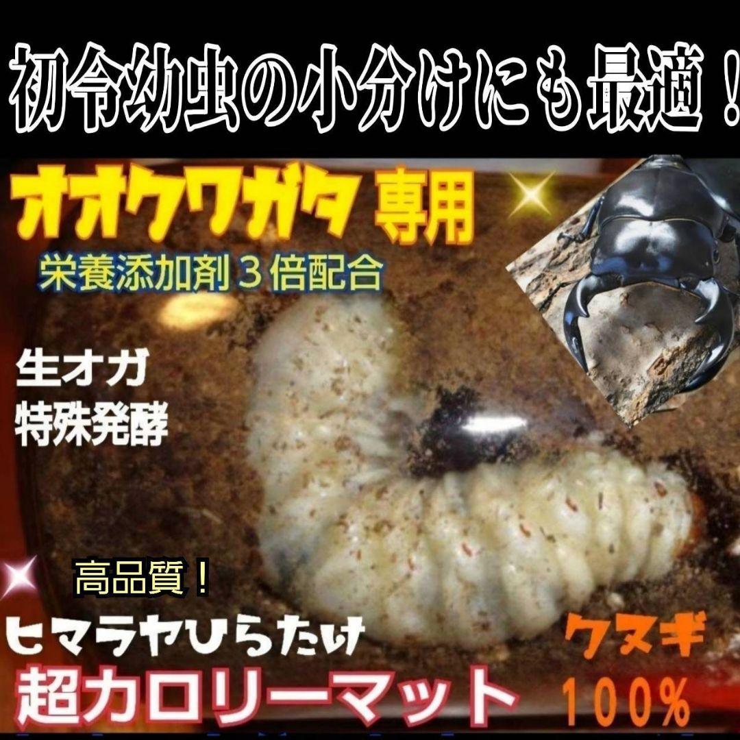 オオクワガタ専用　超高カロリーマット【50L】栄養添加剤3倍配合！生オガ特殊発酵