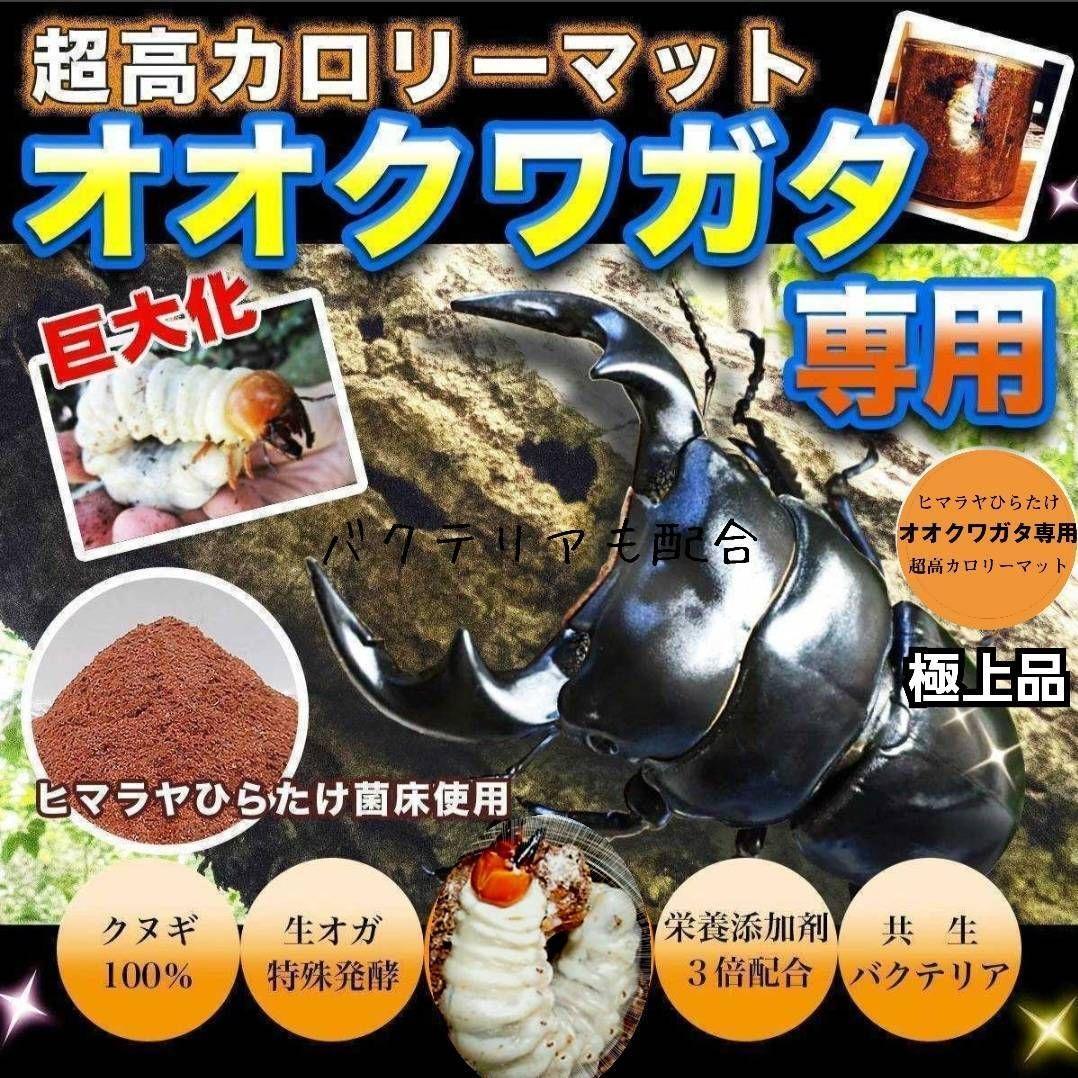 オオクワガタ専用　超高カロリーマット【50L】栄養添加剤3倍配合！生オガ特殊発酵
