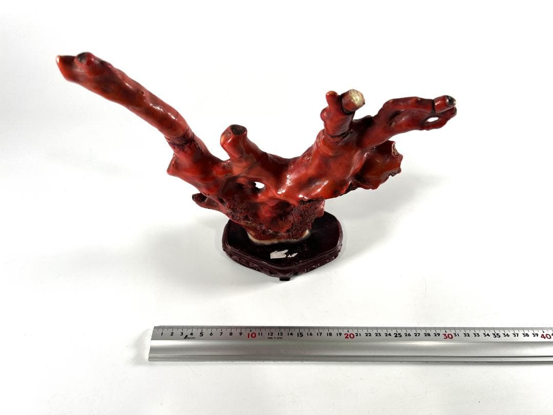 【送料無料・蔵出し品】珊瑚　珊瑚礁　赤珊瑚　台座付　飾り　詳細不明　写真参照