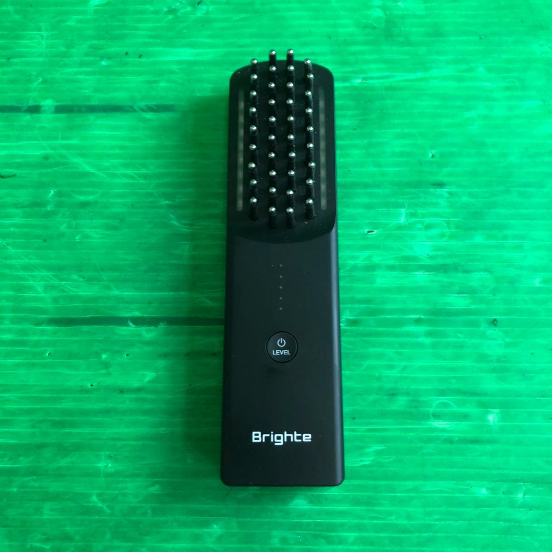 BRIGHT ブライト ELEKIBRUSH エレキブラシ ジャンク