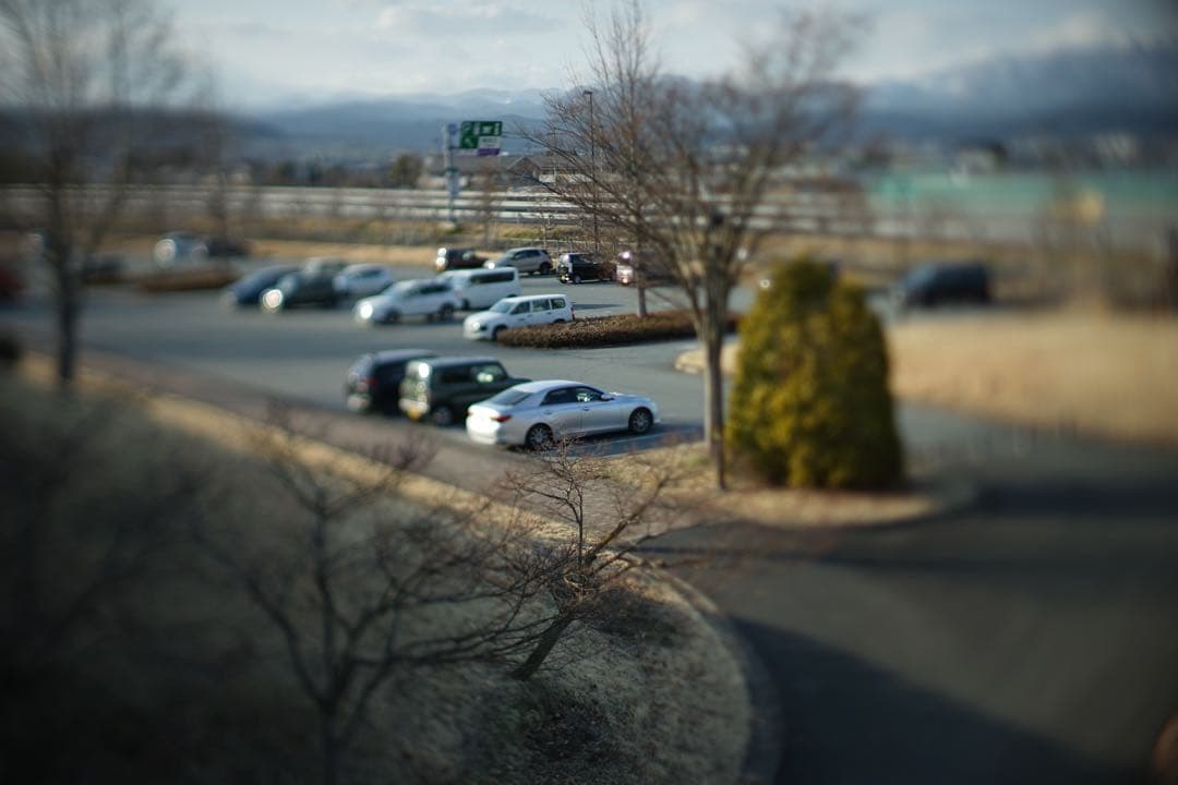 作例付き　TTArtisan tilt 50mm F1.4 管mpr 銘匠光学