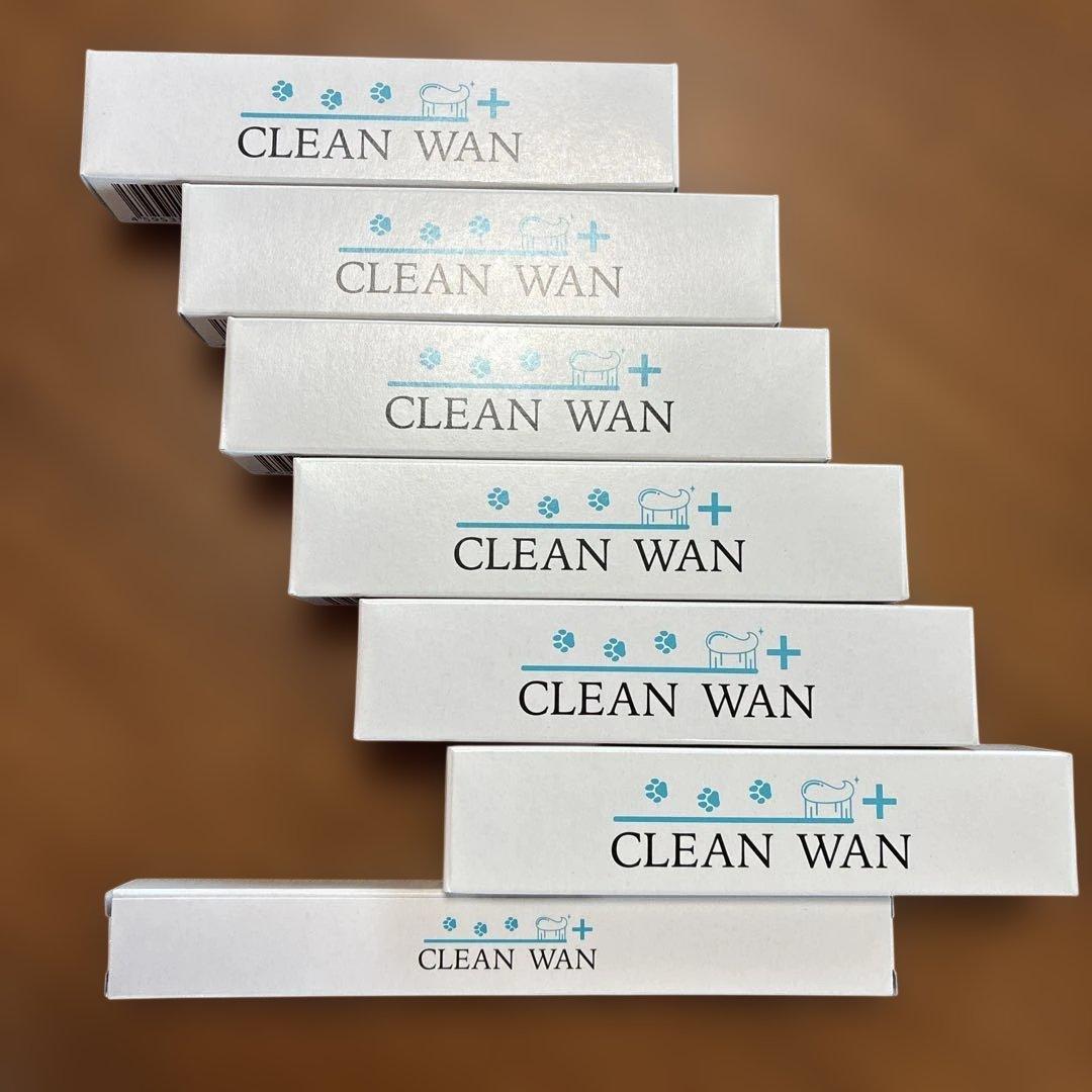 CLEAN WAN 6本　& 歯ブラシ1本