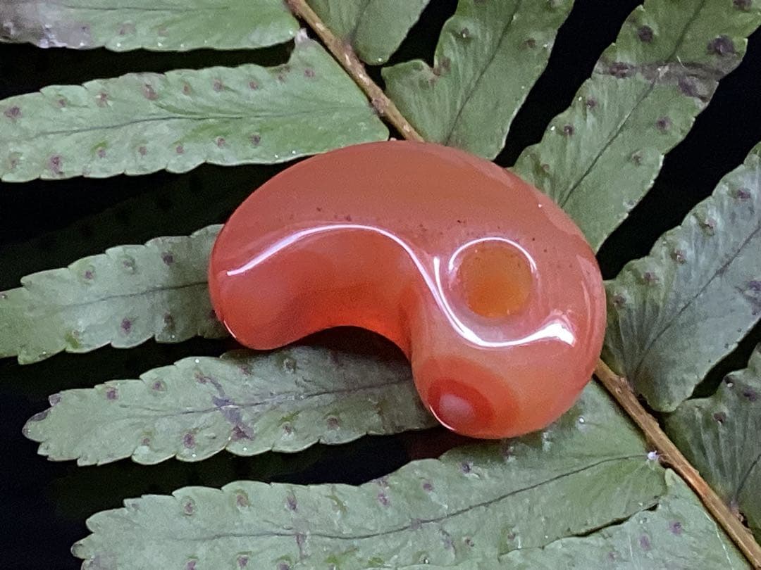 作製しました！ご連絡よろしくお願いします‼️