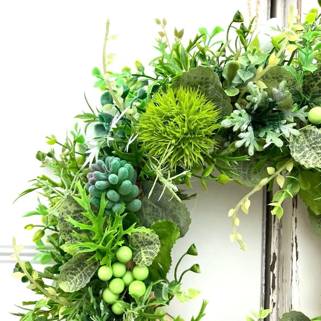 みぃです。ぷっくり多肉植物とたっぷりグリーンリース35cm&36~38cm