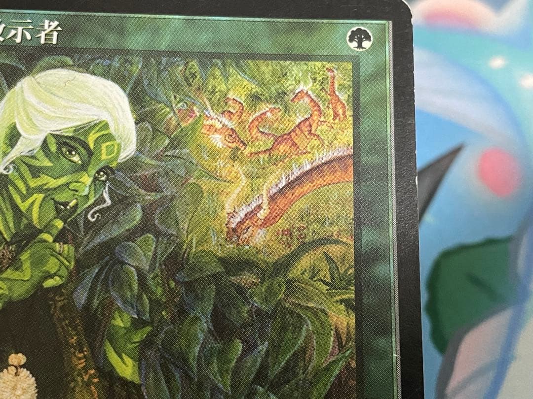 MTG 森の教示者 PO1 日本語 エラー？