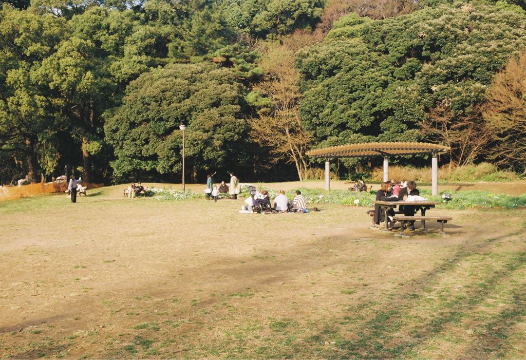 summaron ズマロン 35mm f3.5 mマウント