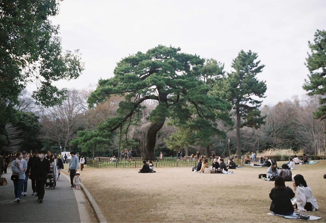 summaron ズマロン 35mm f3.5 mマウント