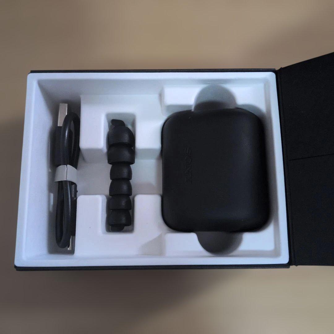 SONY INZONE Buds WF-700N　名姓