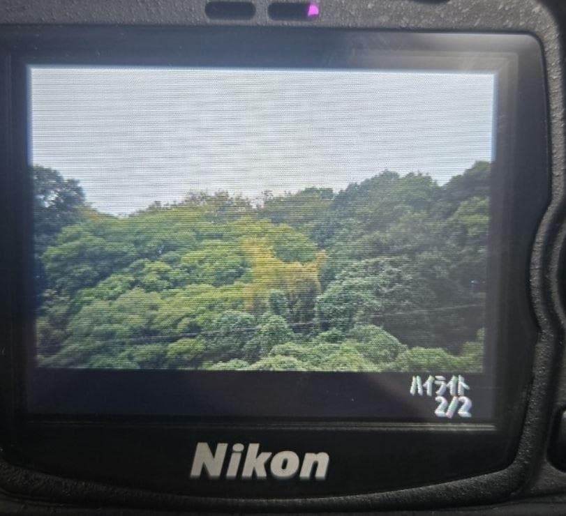 ●手ぶれ補正✨ Nikon D60 一眼レフ レンズセット 充電器付　デジカメ