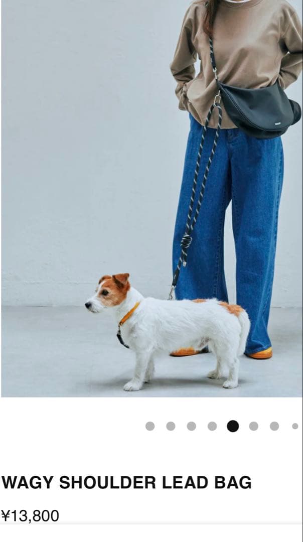 WAGY ブラック ナイロンバッグ リード、ポーチ付き