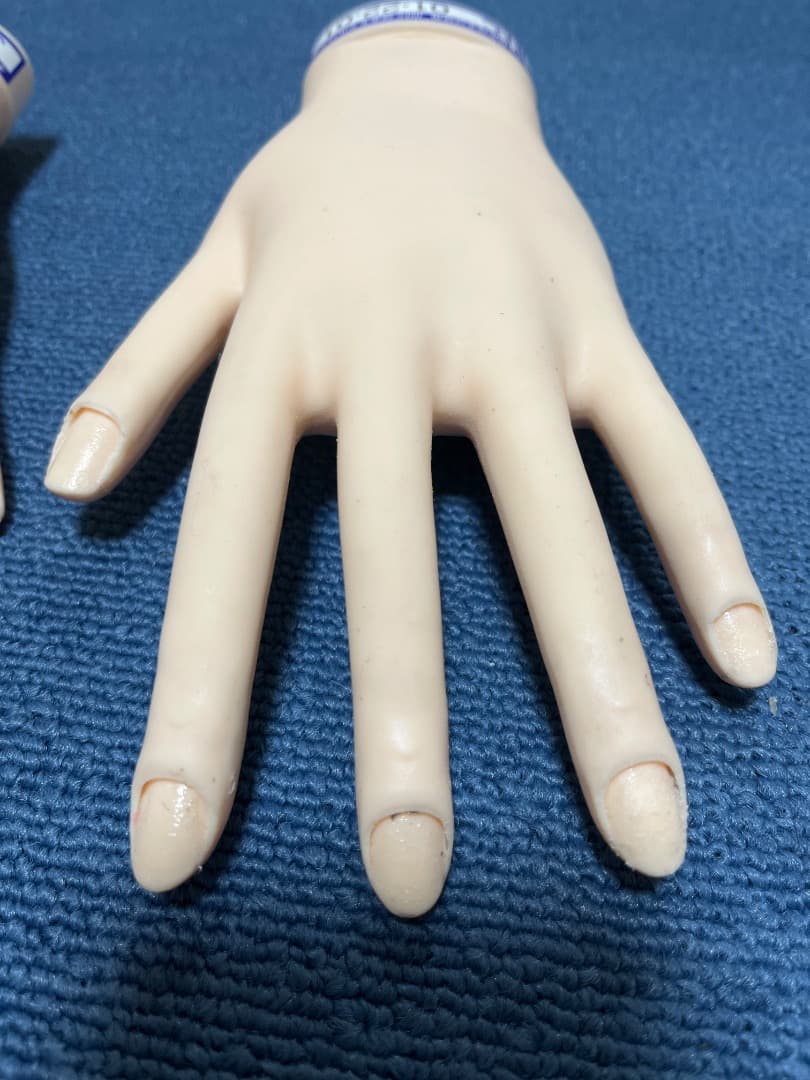 JNA認定ハンドモデル