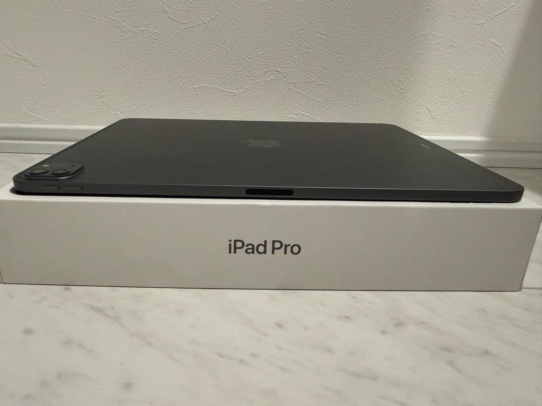 iPad Pro 12.9インチ　第五世代　256GB