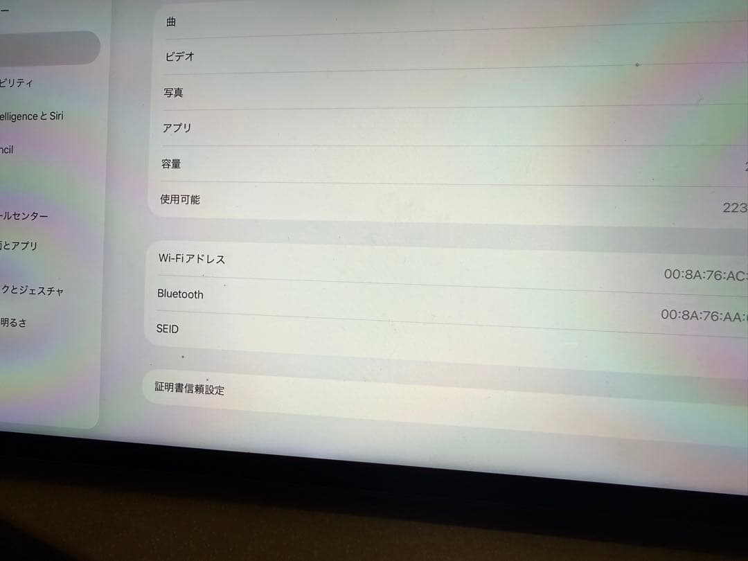 iPad Pro 12.9インチ　第五世代　256GB