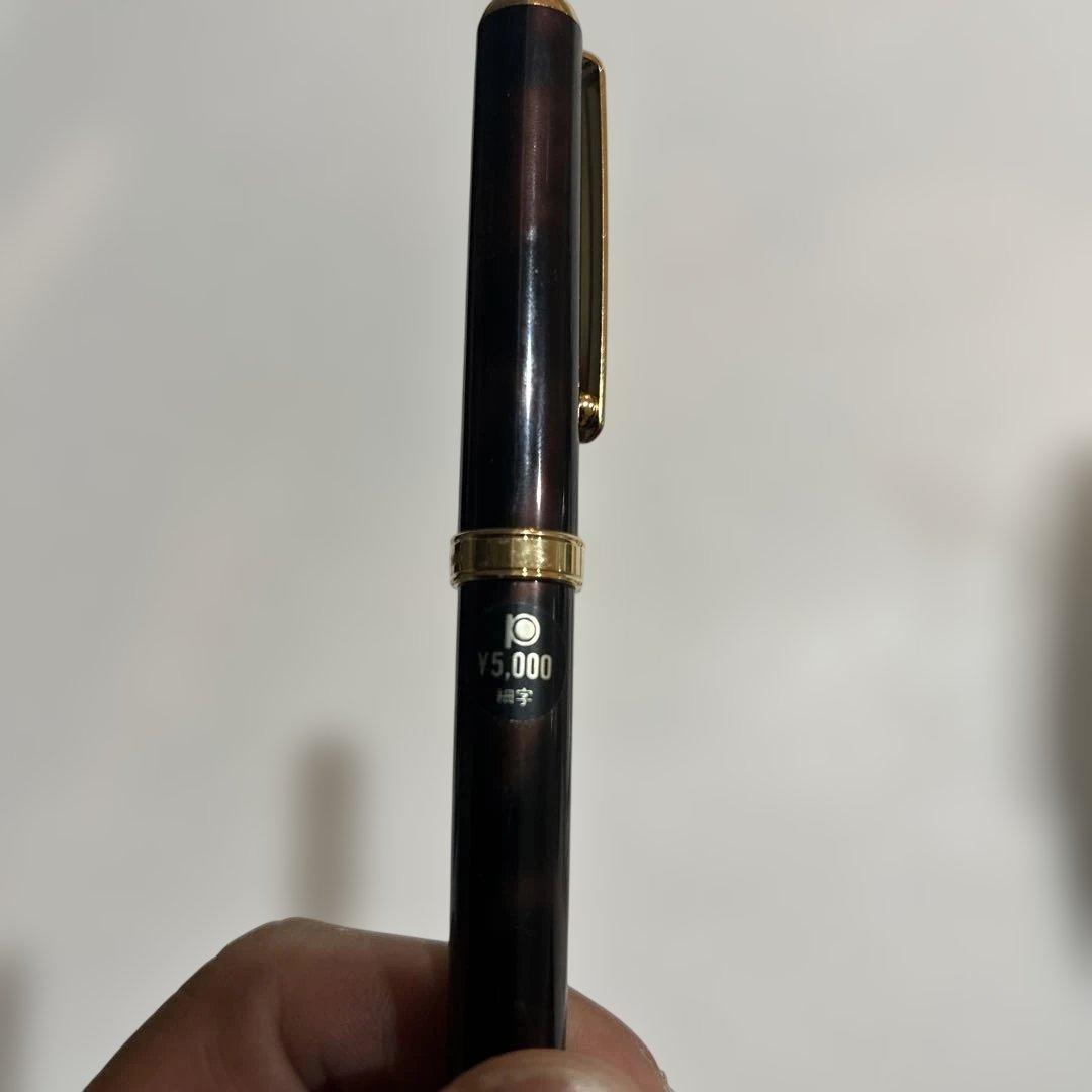 プラチナ万年筆10本セット新品