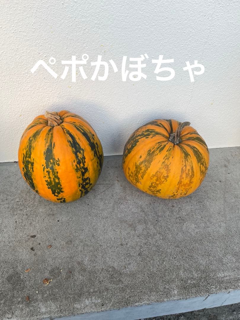 松の実1キロ& かぼちゃの種100グラム￼以上