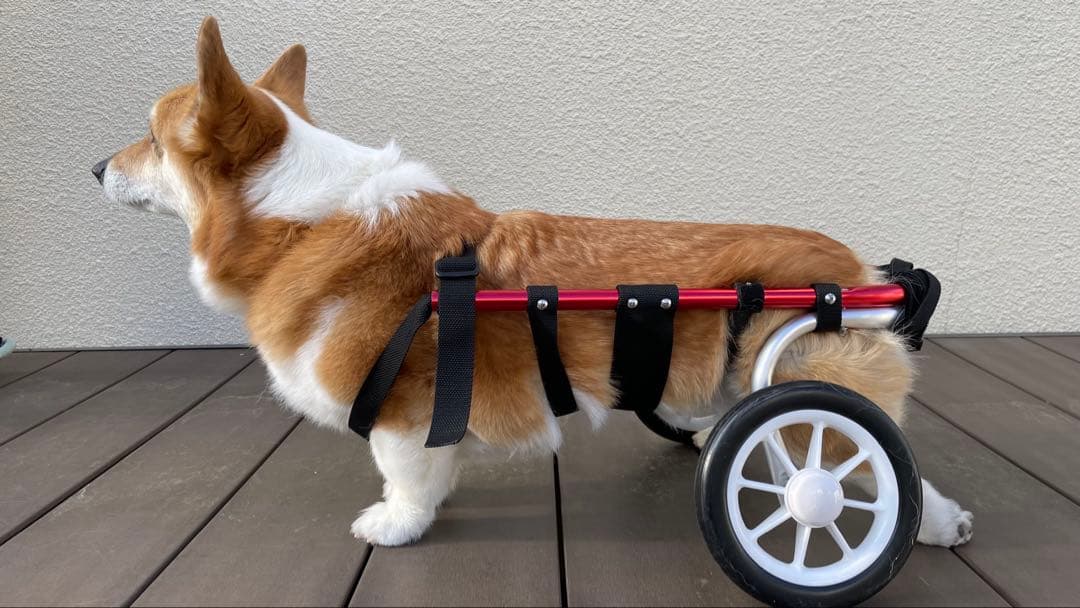 犬用車いす 赤/銀 調整可能
