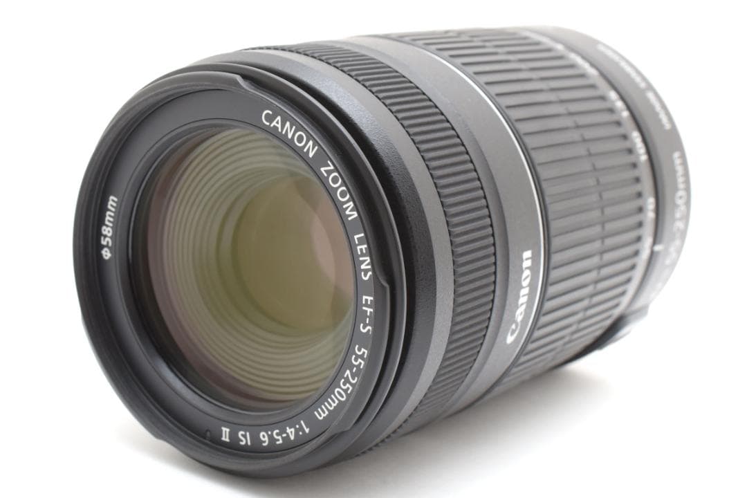 Canon EF-S55-250mm IS Ⅱ 望遠 手ブレ補正 運動会 旅行