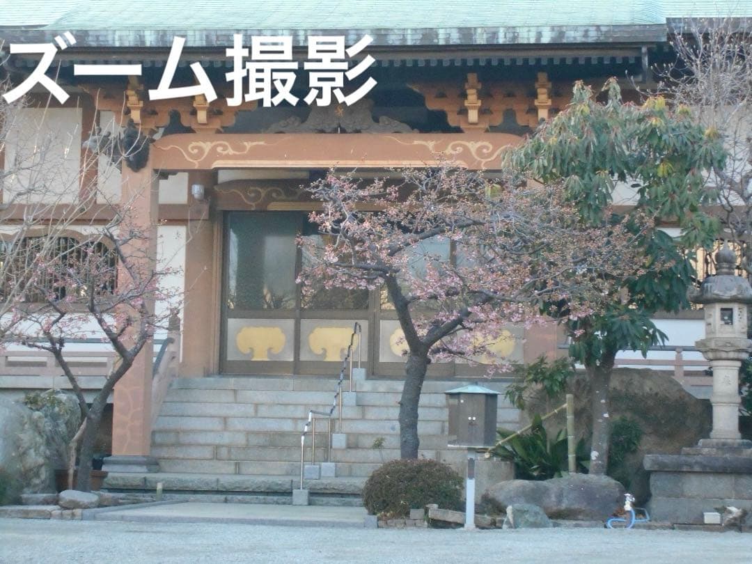 乾電池式/実写美⭕️良品【動作確認済】Nikon COOLPIX L30