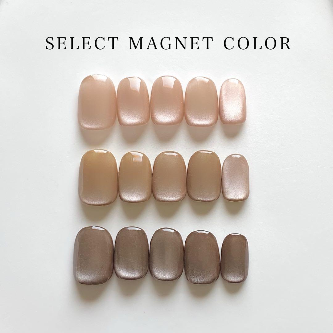 ［23］ネイルチップ マグネットネイル ブラウン うるうるネイル オーダー