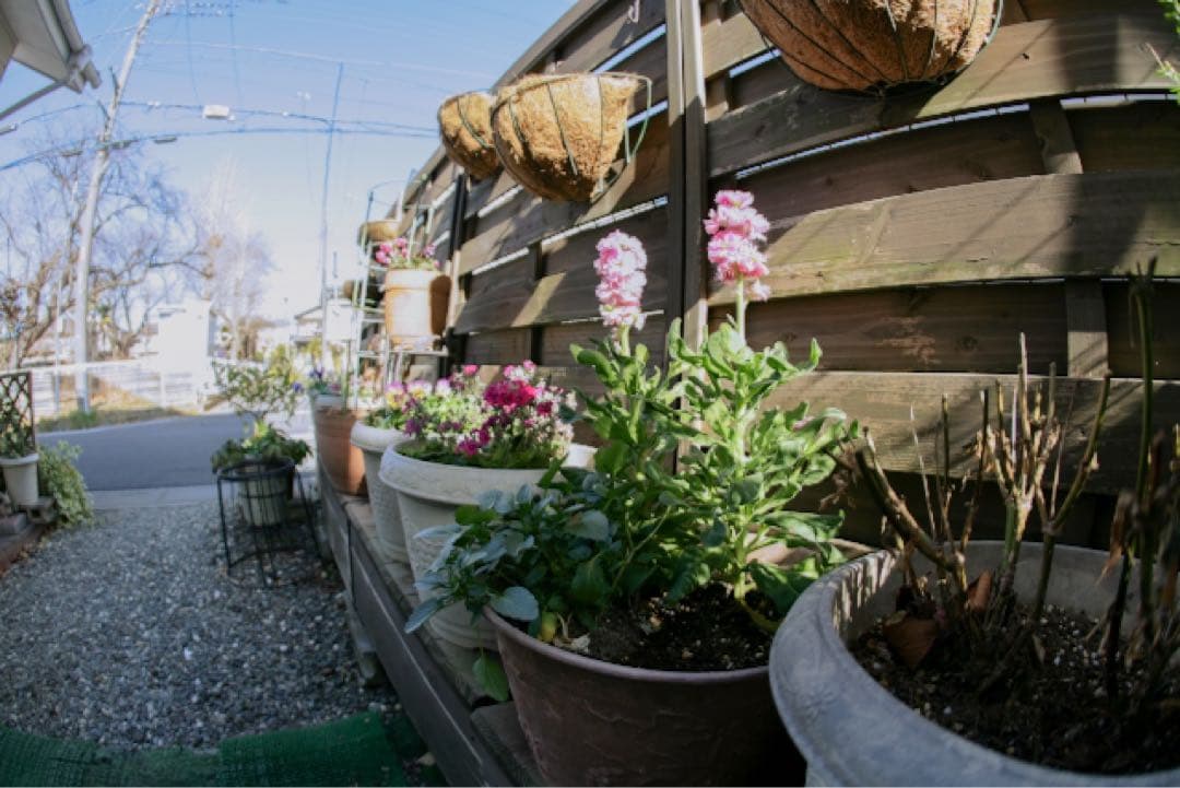 Canon FISHEYE LENS EF 15mm f2.8　 フィッシュアイ