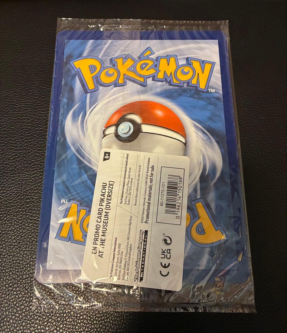 Pikachu at the Museum ピカチュウ ロンドン自然史博物館28