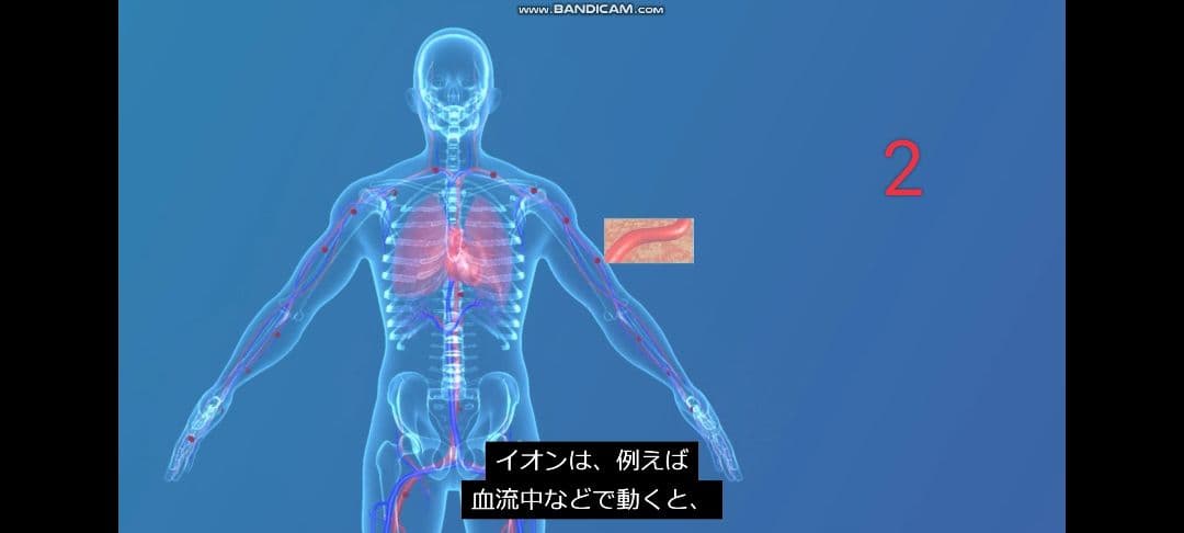 マグヒーリー　クラシック　エディション【保証期間内】値下げしました！