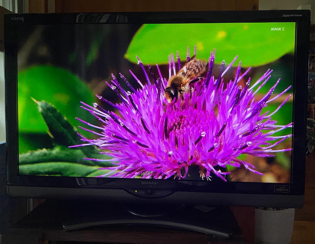 SHARP AQUOS LED 液晶テレビ / LC-40SE1 / 40インチ